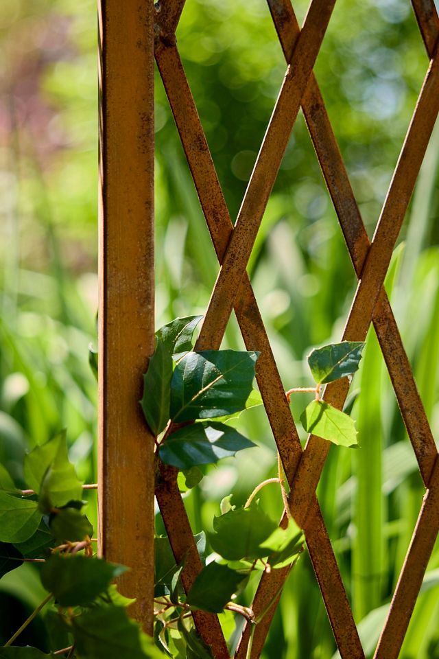 Rust Patina Gothic Arch Trellis #2