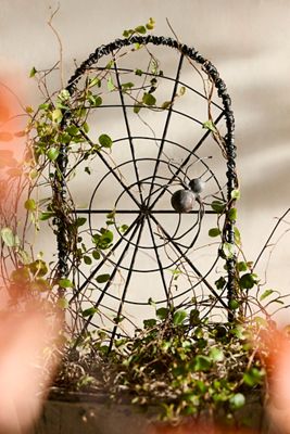 Iron Spiderweb Trellis