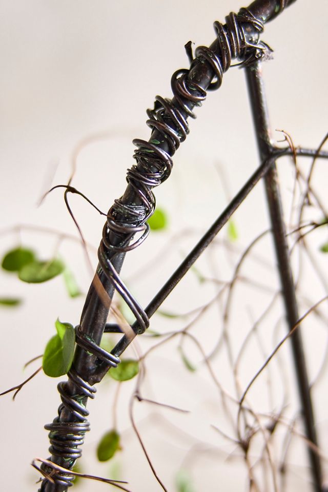 Iron Spiderweb Trellis #2