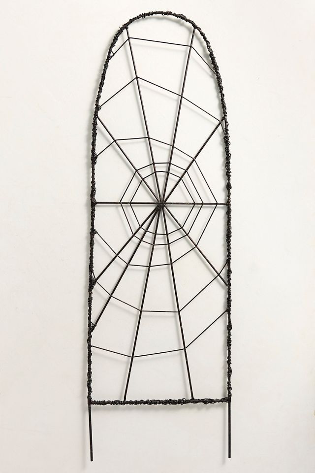 Iron Spiderweb Trellis #3