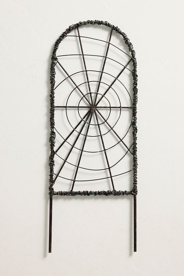 Iron Spiderweb Trellis #4