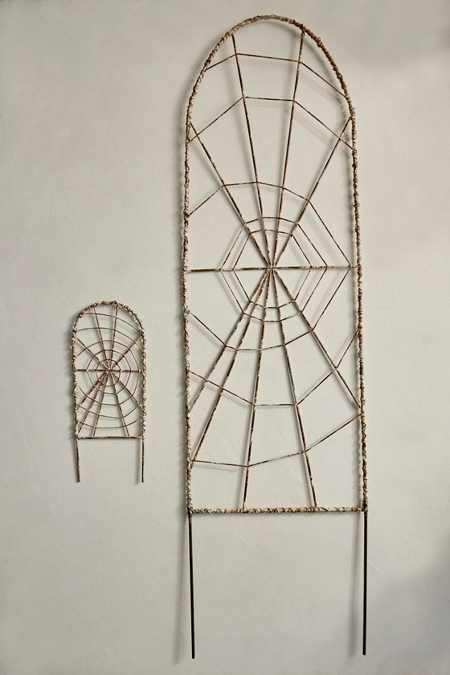 Iron Spiderweb Trellis #3