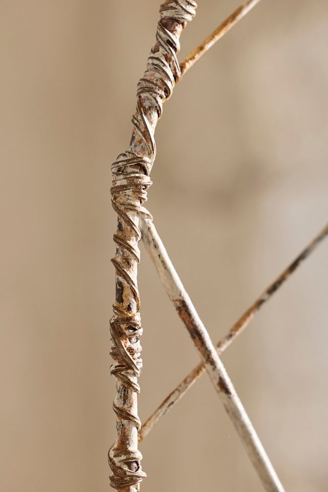 Iron Spiderweb Trellis #2