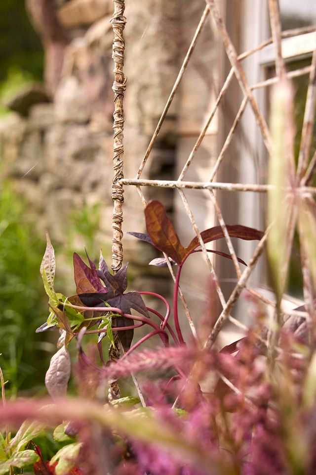 Iron Spiderweb Trellis #4