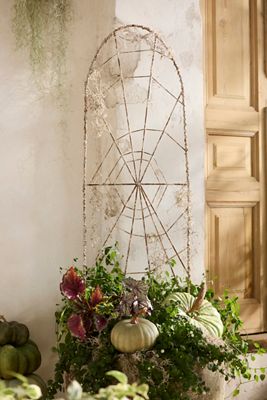 Iron Spiderweb Trellis