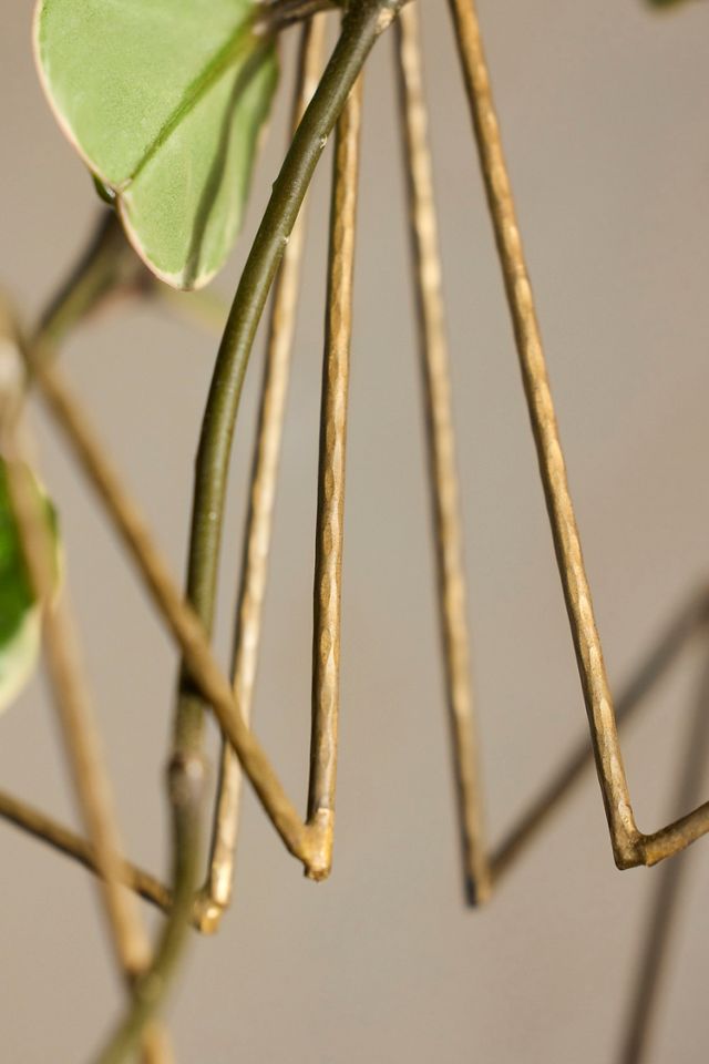 Antique Brass Star Plant Support #2