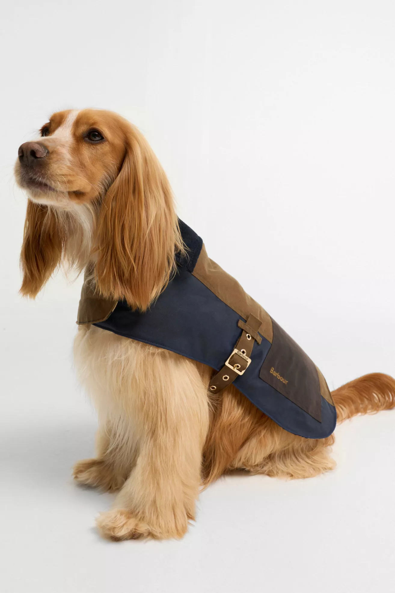 Barbour x Anthropologie Patch Waxed Dog Coat