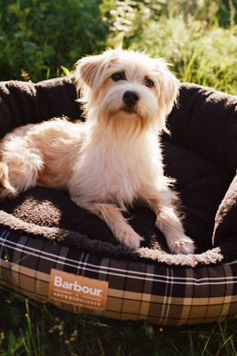 Barbour x Anthropologie 35" Round Tartan Dog Bed