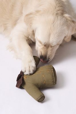 Barbour x Anthropologie Wax Jacket Dog Toy