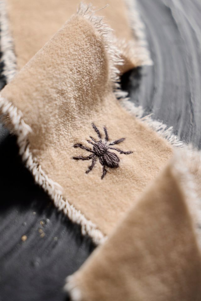 Embroidered Spider Velvet Ribbon #1