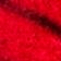 Red/Berry