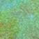 Mint/Turq