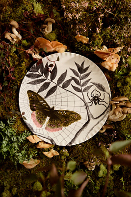 Terrain Halloween Moth Pinch Rim Serving Platter In Multi