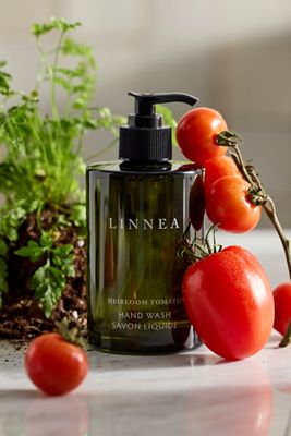 Linnea Heirloom Tomato Hand Wash