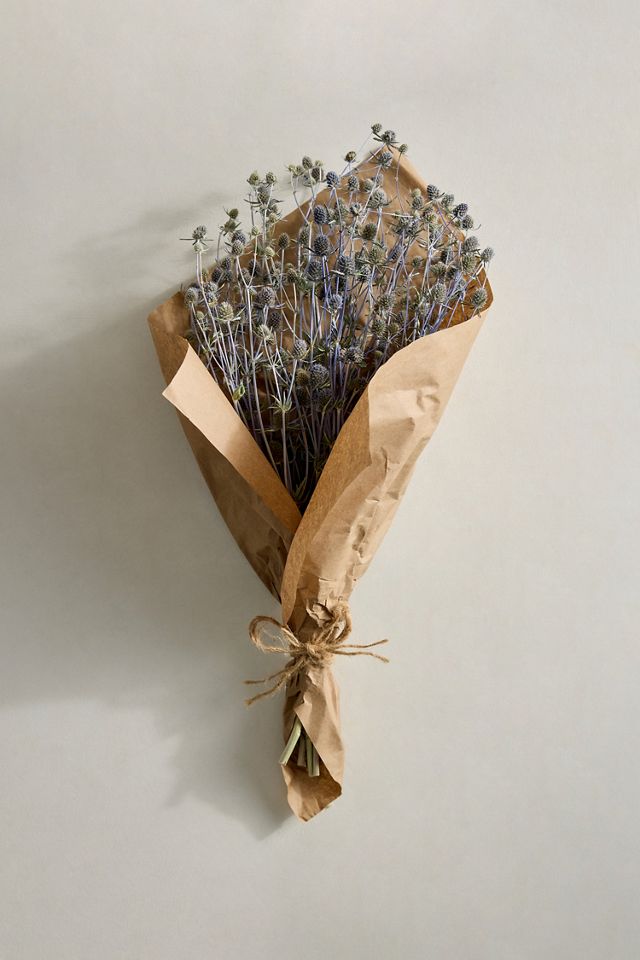 Dried Sea Holly Bunch #2