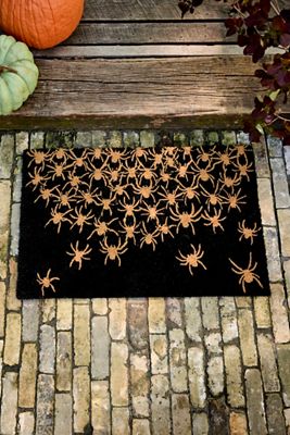 Spooky Spiders Coir Doormat