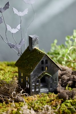 Concordville Halloween Mossy Cottage