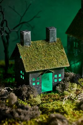 Concordville Halloween Mossy House