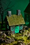 Concordville Halloween Mossy House
