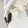Oval Silver