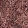 Coffee Bean / Gum
