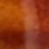 Bark Sunset