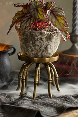 Brass Spider Plant Stand