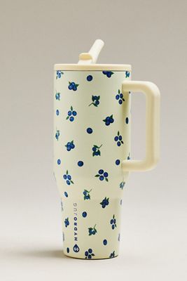 HydroJug 32 oz. Traveler