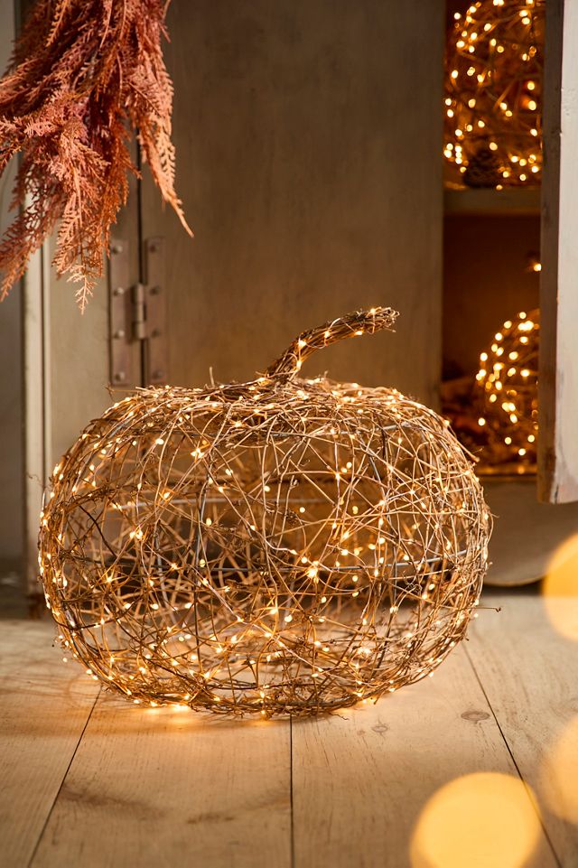 Illuminated Vine Pumpkin #1