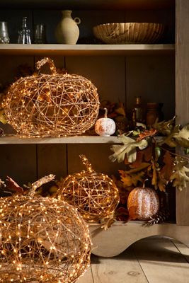 Illuminated Vine Pumpkin
