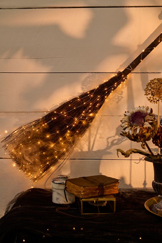 Illuminated Vine Broom #3