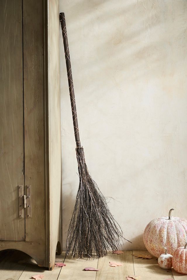 Illuminated Vine Broom #2