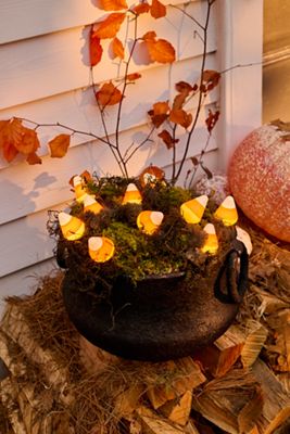 Stargazer Garden Lights, Set of 21 Bulbs, Candy Corn