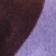 Purple/Blue/Egret