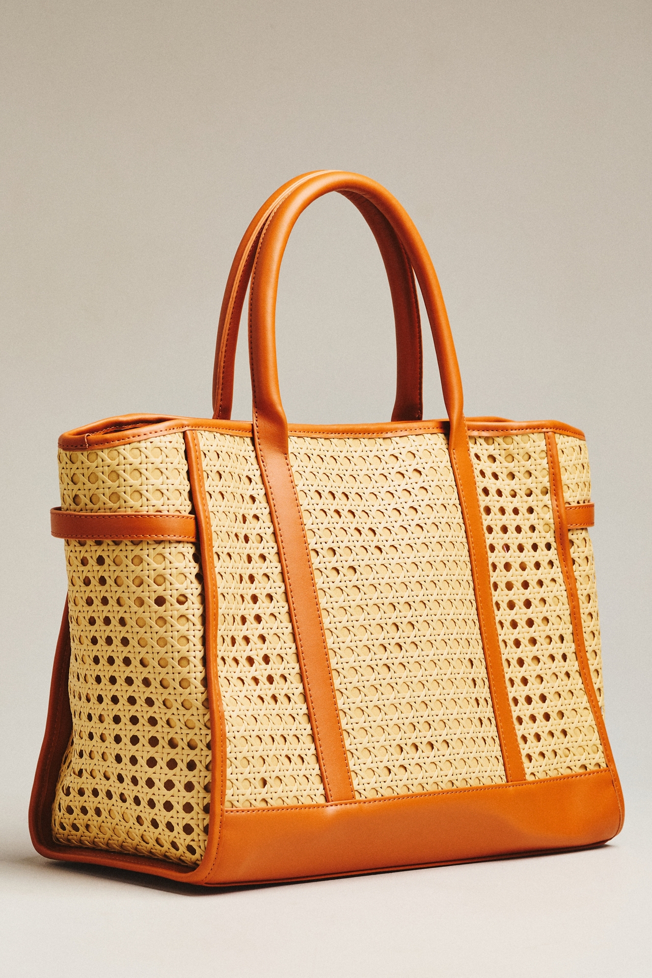 Lisi Lerch Palmer Cane Tote Bag