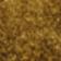 Olive Suede