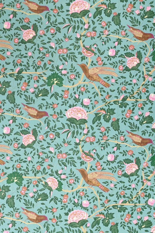 Wren Bird Print Wallpaper #1