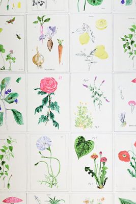 Botanical Floral Grid Wallpaper