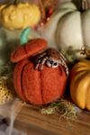 Coblyn Spider + Pumpkin Felt Critter
