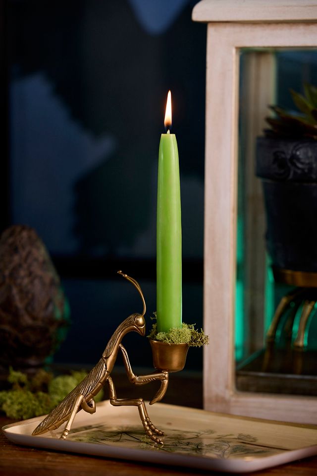 Brass Creature Taper Holder #6