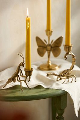 Brass Creature Taper Holder