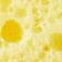 Limone