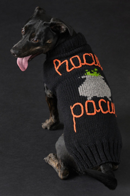 Halloween Phrase Pet Sweater