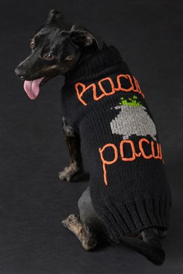 Anthropologie Halloween Phrase Pet Sweater