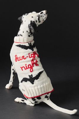 Anthropologie Halloween Phrase Pet Sweater