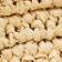 Horse Raffia