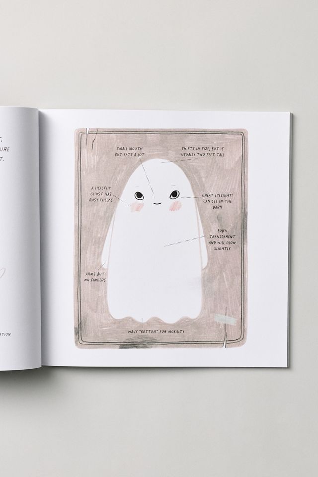 How to Make Friends With a Ghost Kids Book #2