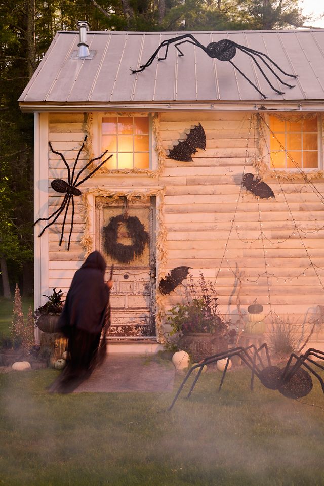 Giant Rattan Vine Spider #6