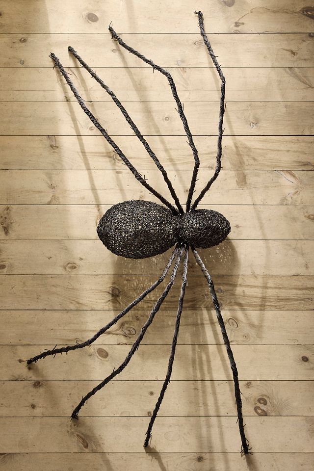 Giant Rattan Vine Spider #1