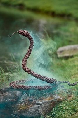 Rattan Vine Coiled Snake